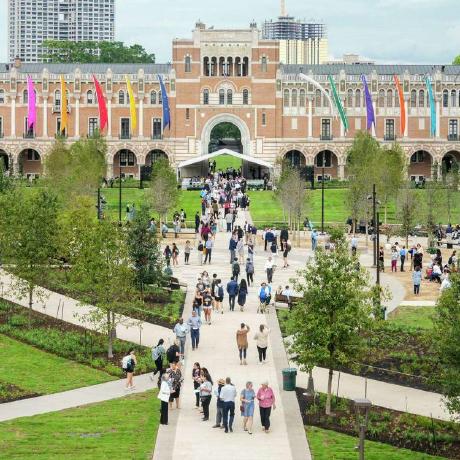 Holly New Github - Best Minimal Arts in Ultra HD