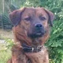 Github Makeworksimple Sync Gitee Vscode - Perfect Full HD Nature Backgrounds | Free Download