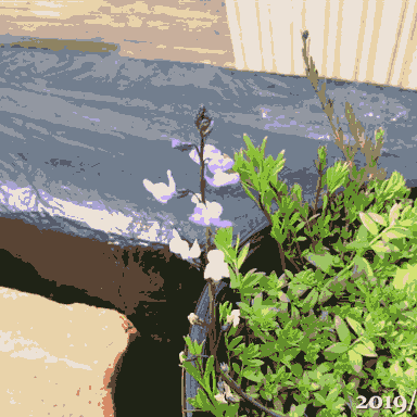 Github Gogowaten Opaopaopasity - Mountain Image Collection - Ultra HD Quality