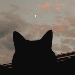 Felixrest Felix Github