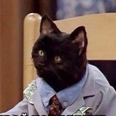 Morda Creator Github - Geometric Patterns - Gorgeous 8K Collection