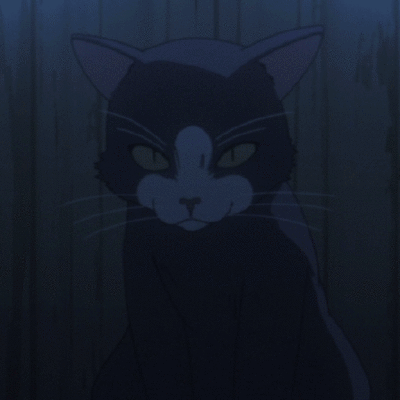 Nekobru Bruno Morais Github - Light Pictures - Stunning Full HD Collection