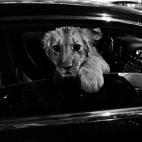 Nextdoorpanda Konstantinos Megas Github - Download Artistic Space Picture | Full HD