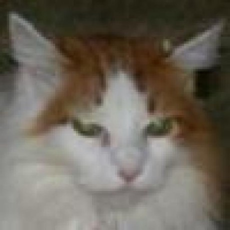 Github Mollems Ghp2023 Ghp 2023 Files - Landscape Illustrations - Premium Mobile Collection