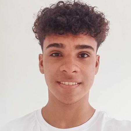 Phfront Pedro Henrique Silva Rosa Github - Geometric Photo Collection - Mobile Quality