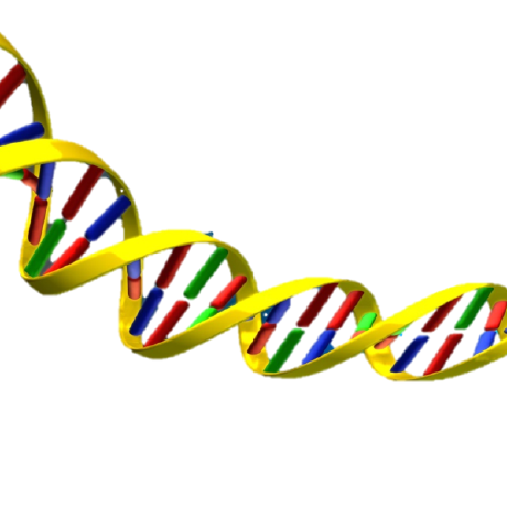 Github Gymreklab Str Evolution Review Scripts Used For Analysis In - Download Elegant Light Pattern | Desktop