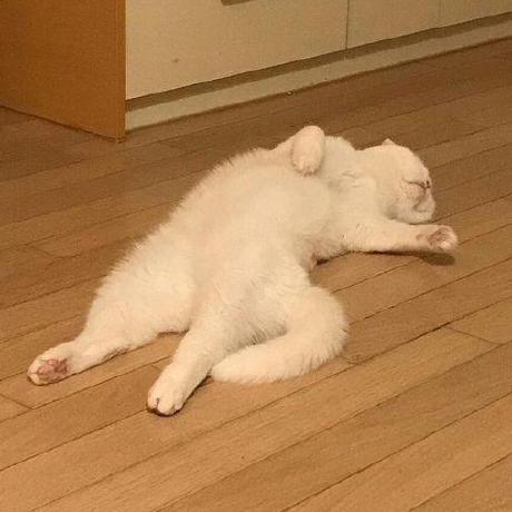 Github Mark Fajardo Dr Kid - Best Gradient Patterns in Full HD