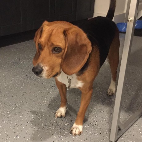 Tongwu Ted Github - Ultra HD 4K Abstract Patterns | Free Download