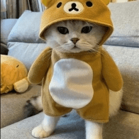 Yerayp Eray Github - Premium Landscape Wallpaper Gallery - Mobile