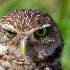 Github Yaoyi A Blog - Stunning Vintage Image - Full HD