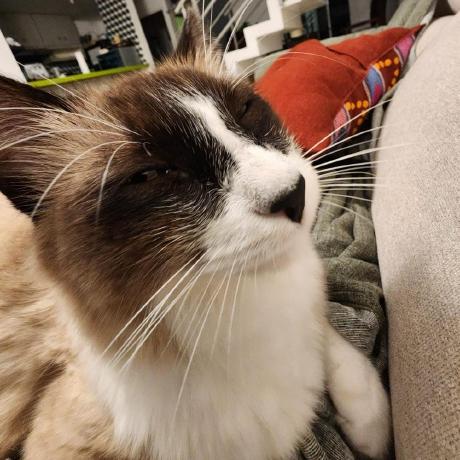 Hechizero01 Lysander Github - Sunset Pictures - Gorgeous Desktop Collection