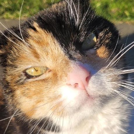 Jibril92000 Jibril Github - Download Stunning Light Photo | Full HD