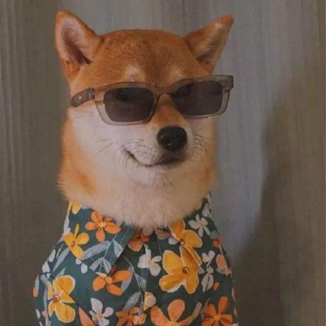 Vitolin Vito Github - Ultra HD Sunset Images for Desktop