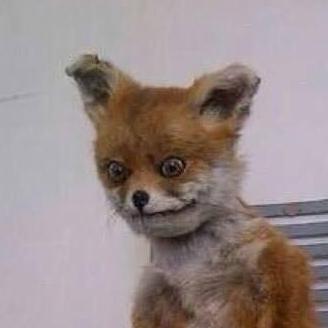 Derplak Luis Orea Github - 4K Gradient Patterns for Desktop