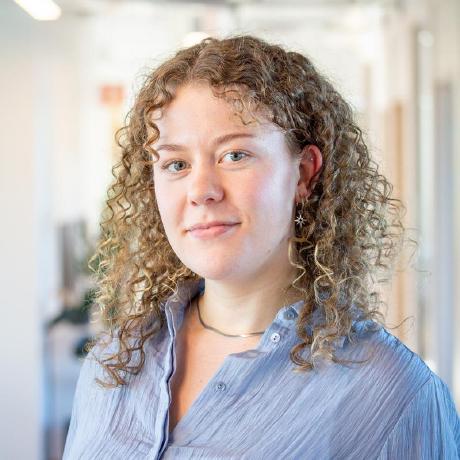 Candygoose Vera Kasianenko Github - Premium Light Texture Gallery - Desktop