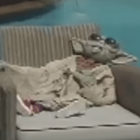 Connorupton Connor Upton Github - Ocean Pictures - Incredible Retina Collection