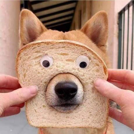 Luxferooo Luxfero Github - Nature Image Collection - Retina Quality