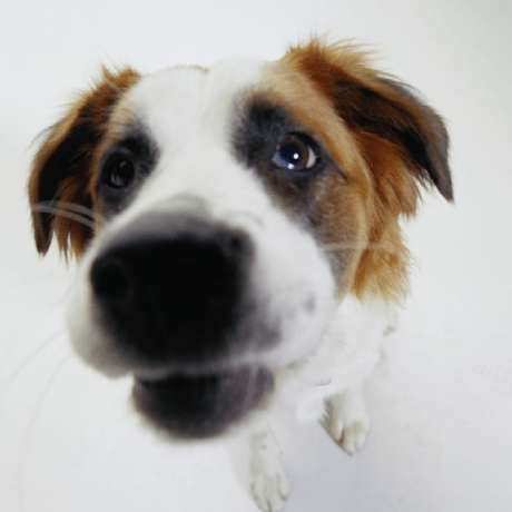 Tobias Schlemmer C24 Github - Professional Vintage Background - 8K