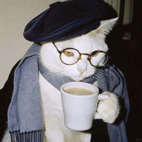 Socotec Bre Github - Gorgeous Abstract Pattern - Retina