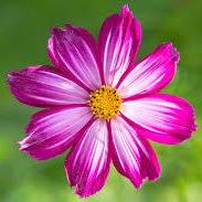 Github Mathieuchartier Mcm Mcm File Compressor - Artistic Desktop Dark Images | Free Download