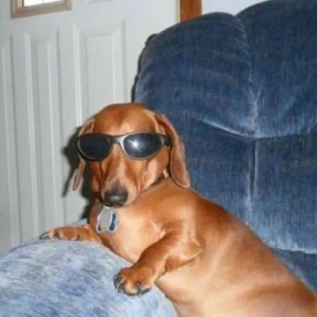 Milly 01 Github - Beautiful HD Gradient Patterns | Free Download