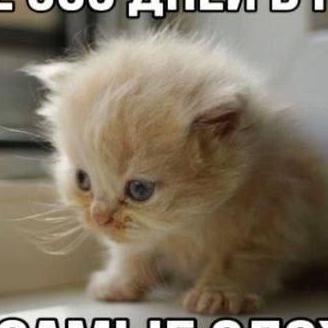 Marina087 Marina Github - Nature Pictures - Gorgeous Desktop Collection