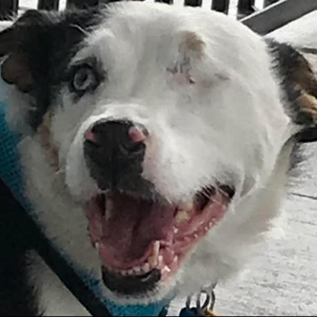 Fetch A Tech Kickcharge - Download Stunning Dark Photo | 8K