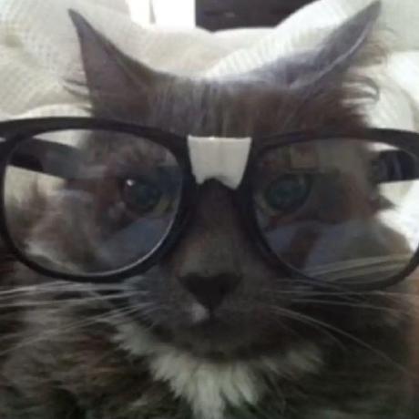 Soulofremy Remy Github - Premium Light Picture Gallery - Retina