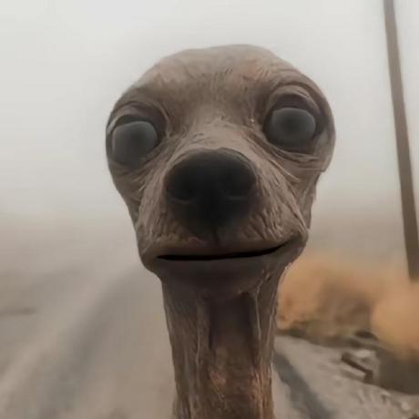 Dylanorton Dylan Github