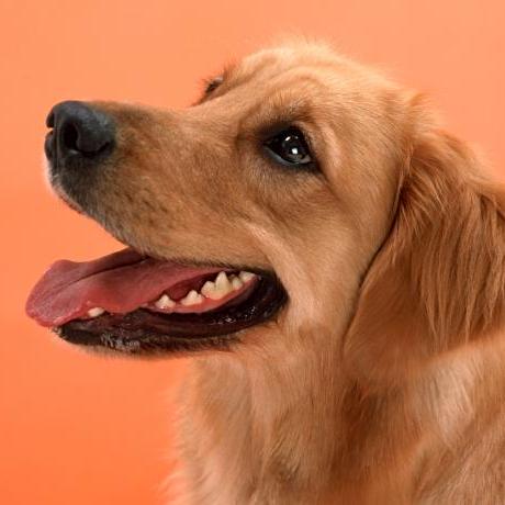 Machao Com Github - Best Landscape Images in High Resolution