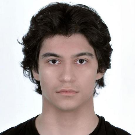 Ran Ibra Github - Light Image Collection - 8K Quality