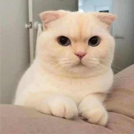 GitHub - Arialdomartini/Back-End-Developer-Interview-Questions: A List Of Back-end Related ...