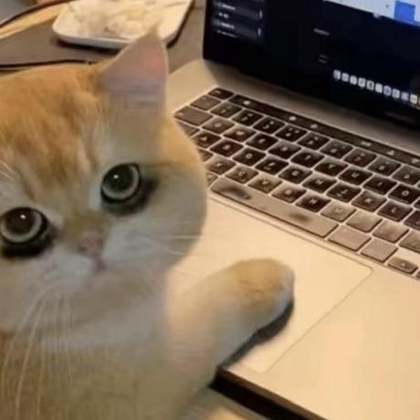 Drissiomar98 Omar Drissi Github - Best Light Arts in 8K