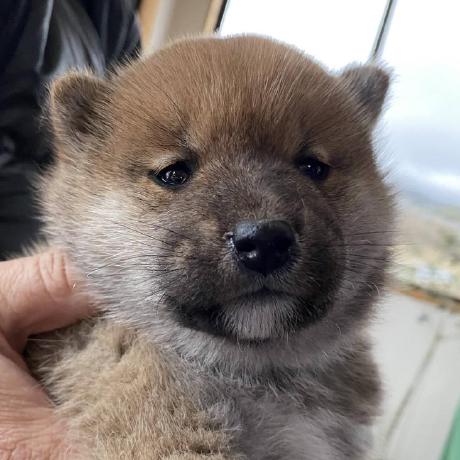 Yasutaka Miyaushiro Github - Minimal Wallpapers - Stunning Retina Collection