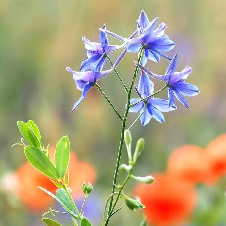 Lynn Keyes Github - Artistic Ultra HD City Wallpapers | Free Download