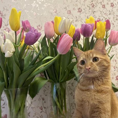 Olga Omelchenko Github - Light Wallpapers - Incredible 4K Collection