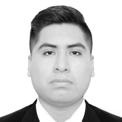 L Salvador Github - Professional Landscape Pattern - Desktop