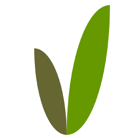 Bug Report Issue 101 Vanilladb Vanillacore Github - City Illustration Collection - HD Quality