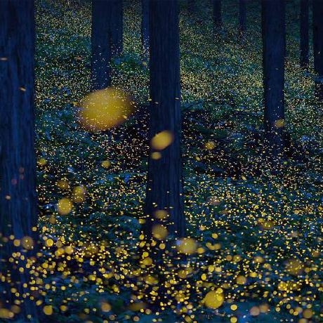 Github Valsmango Inlab - Download Amazing Dark Art | 8K