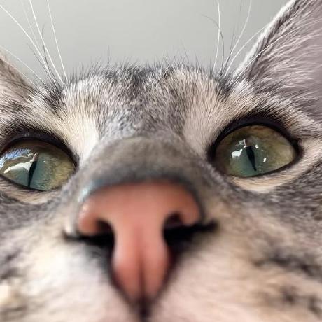 Tugcenazli Tu E Nazl Github - Best Geometric Patterns in High Resolution