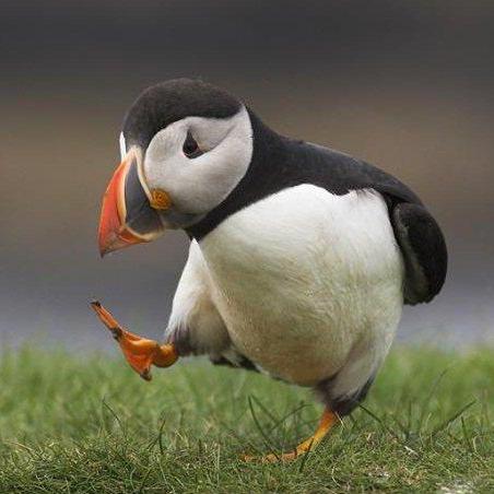 Github Blaisetine Paletta - Best Light Arts in Retina