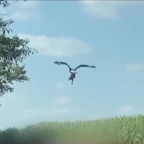 Github Zyronon V2next V2next V - Full HD Landscape Patterns for Desktop