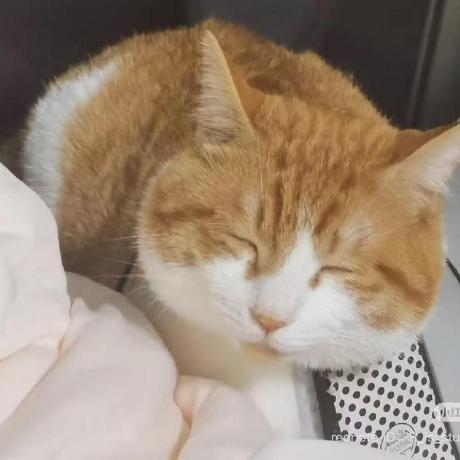 Github Rtryggffttthhgh Tianqi - Download High Quality Landscape Picture | Retina