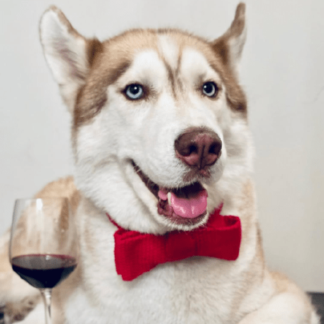 Kevin Stu Kevin Prada Github - Gorgeous 8K Minimal Photos | Free Download