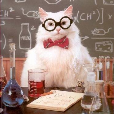 Misak Yt Misak Github - HD Dark Backgrounds for Desktop