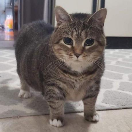 Muhammad Khadafi Muhammad Khadafi Github - Stunning Mobile Space Illustrations | Free Download