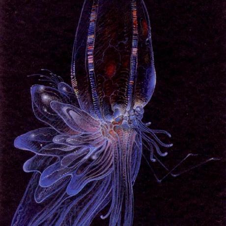 Hanksimmons Hank Github - Premium Colorful Background Gallery - High Resolution