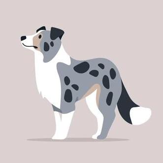 Cj Varga Github - Mobile Light Images for Desktop