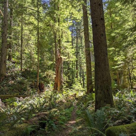 Jw1090 Joseph Walden Github - Premium Light Wallpaper Gallery - Desktop