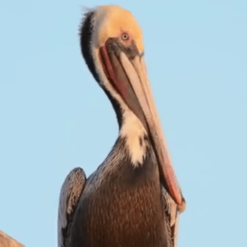 Github Veniceunleashed Vu Docs Venice Unleashed Documentation - Ultra HD Mountain Arts for Desktop